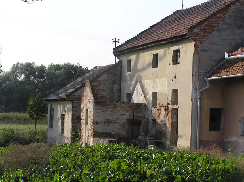 Fotogaléria Mlyn (6) Mlyn