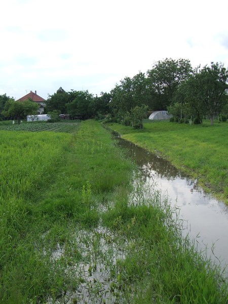 Fotogaléria Veľká voda jar 2010 (19) Veľká voda jar 2010
